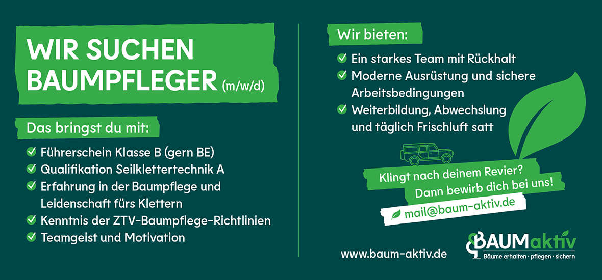Wir suchen Baumpfleger